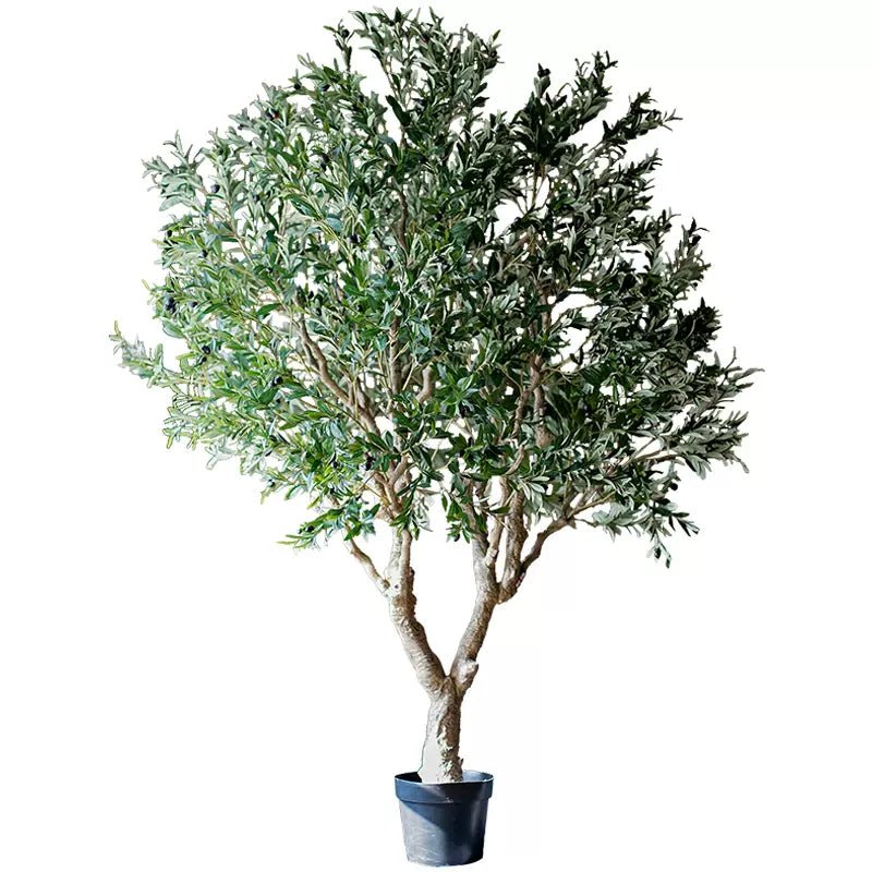 
                      
                        RusticReach Extra Large Artificial Olive Tree 90" Tall - lily & onyx
                      
                    