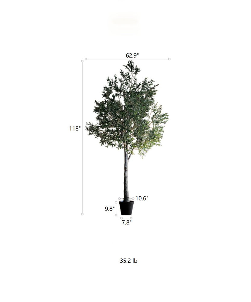 
                      
                        RusticReach Extra Large Tall Olive Tree 118" Tall - lily & onyx
                      
                    