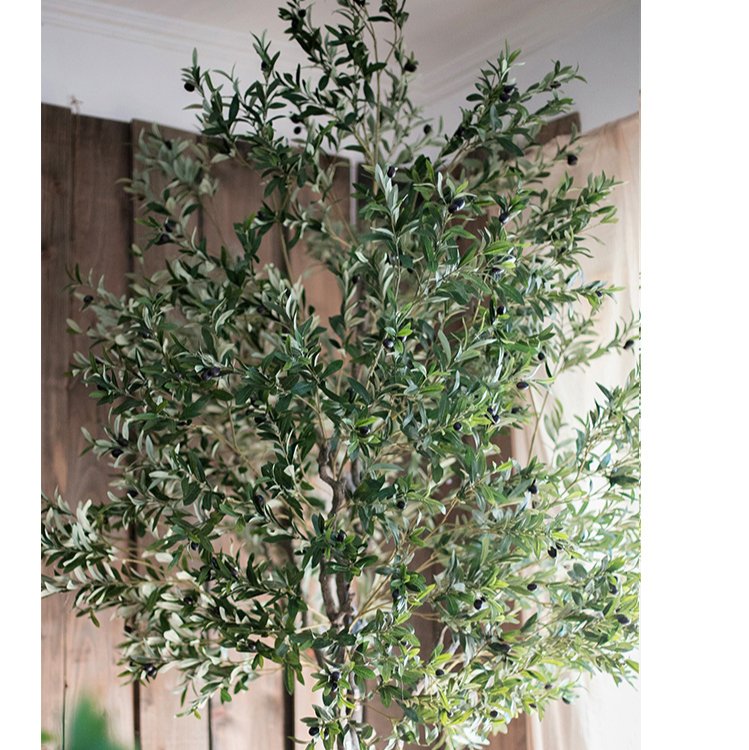 
                      
                        RusticReach Extra Large Tall Olive Tree 118" Tall - lily & onyx
                      
                    