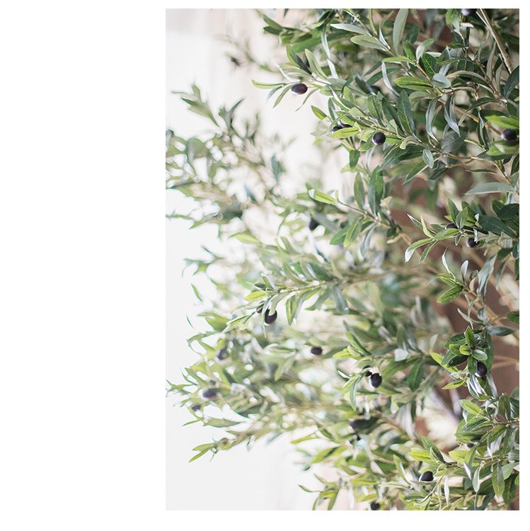 
                      
                        RusticReach Extra Large Tall Olive Tree 118" Tall - lily & onyx
                      
                    