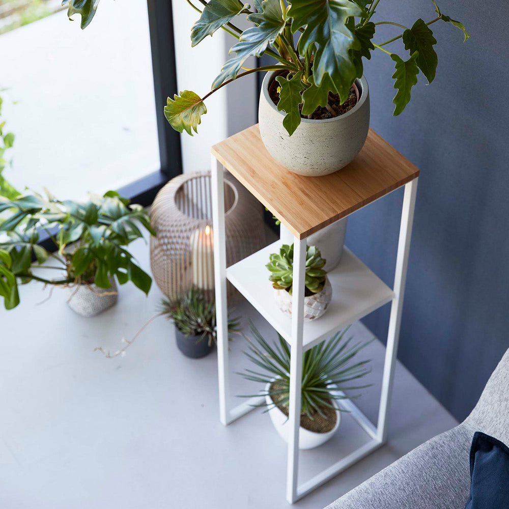 
                      
                        Two-Tier Steel & Wood Display & Storage Shelf, 31.5" H
                      
                    