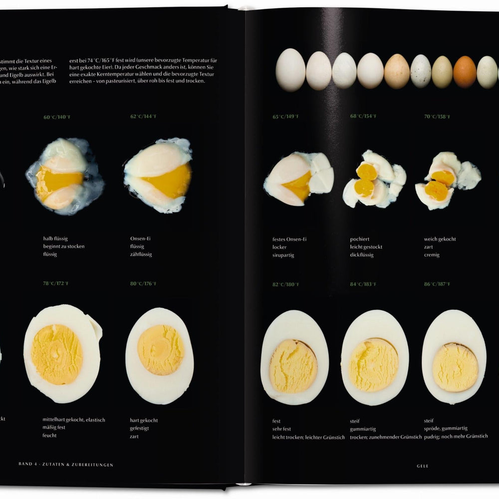 
                      
                        Modernist Cuisine. El arte y la ciencia de la cocina (Spanish)
                      
                    