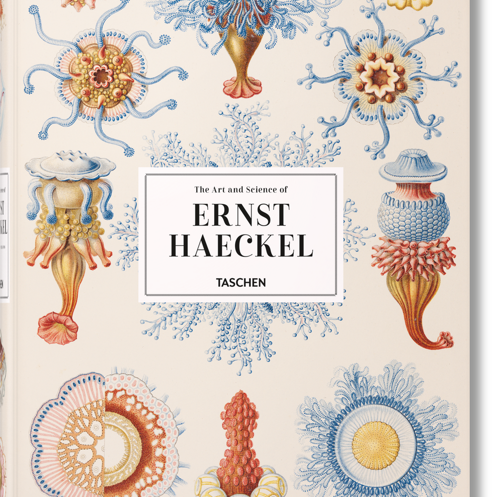 
                      
                        The Art and Science of Ernst Haeckel (German, French, English)
                      
                    