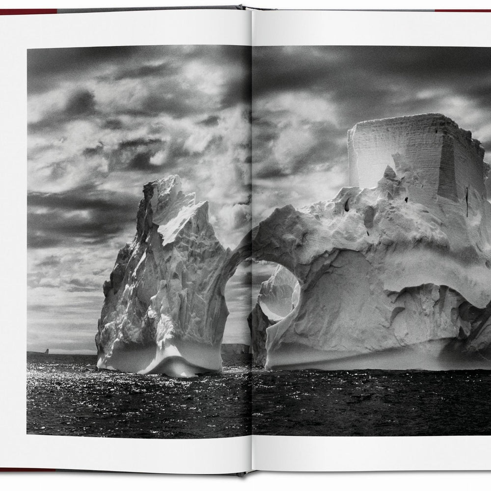 
                      
                        Sebastião Salgado. Genesis (French)
                      
                    