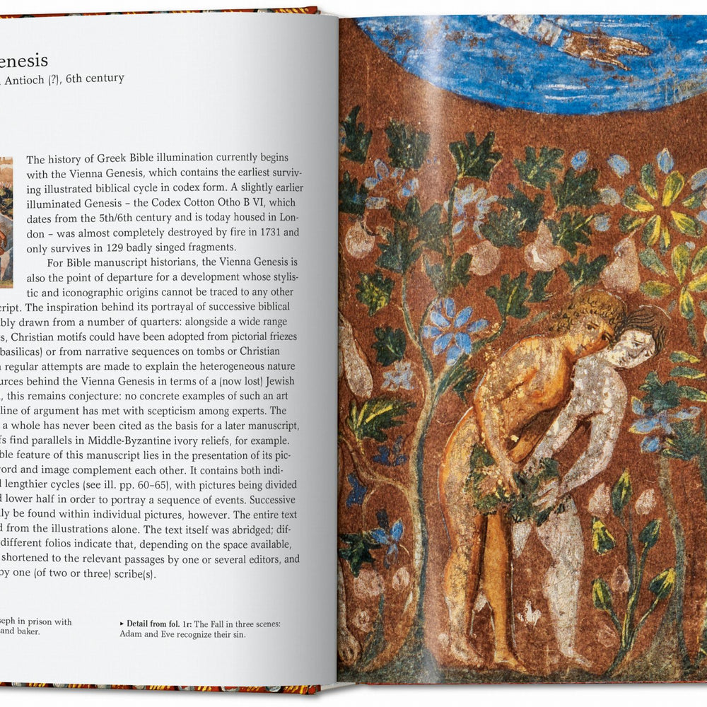 
                      
                        El libro de las biblias. 40th Ed. (Spanish)
                      
                    