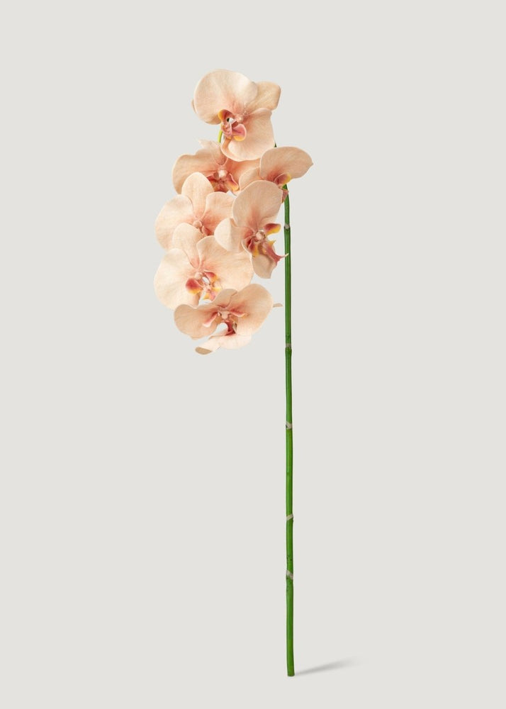 Afloral Fake Blooming Phalaenopsis Orchids in Peach Pink - 40" - lily & onyx