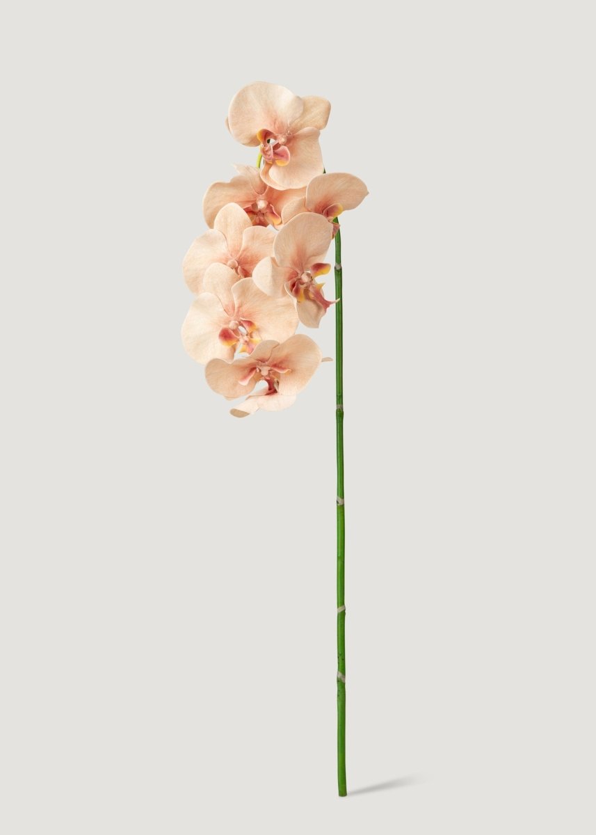 Afloral Fake Blooming Phalaenopsis Orchids in Peach Pink - 40" - lily & onyx
