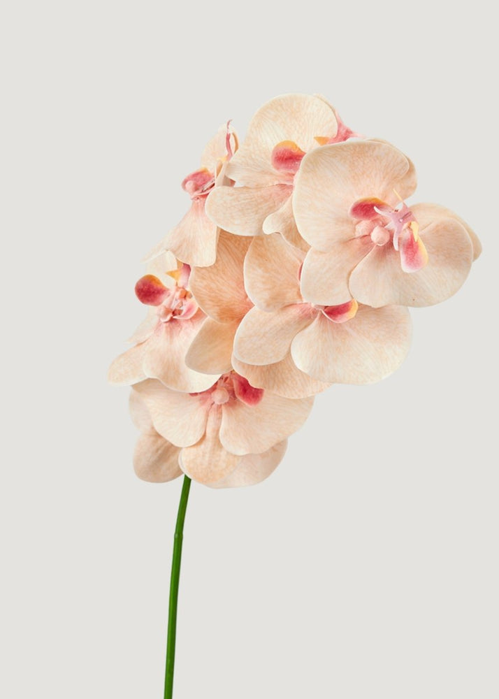 
                      
                        Afloral Fake Blooming Phalaenopsis Orchids in Peach Pink - 40" - lily & onyx
                      
                    