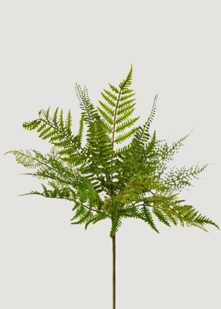 Afloral Fake Fern Leaf Plant - 18.5" - lily & onyx