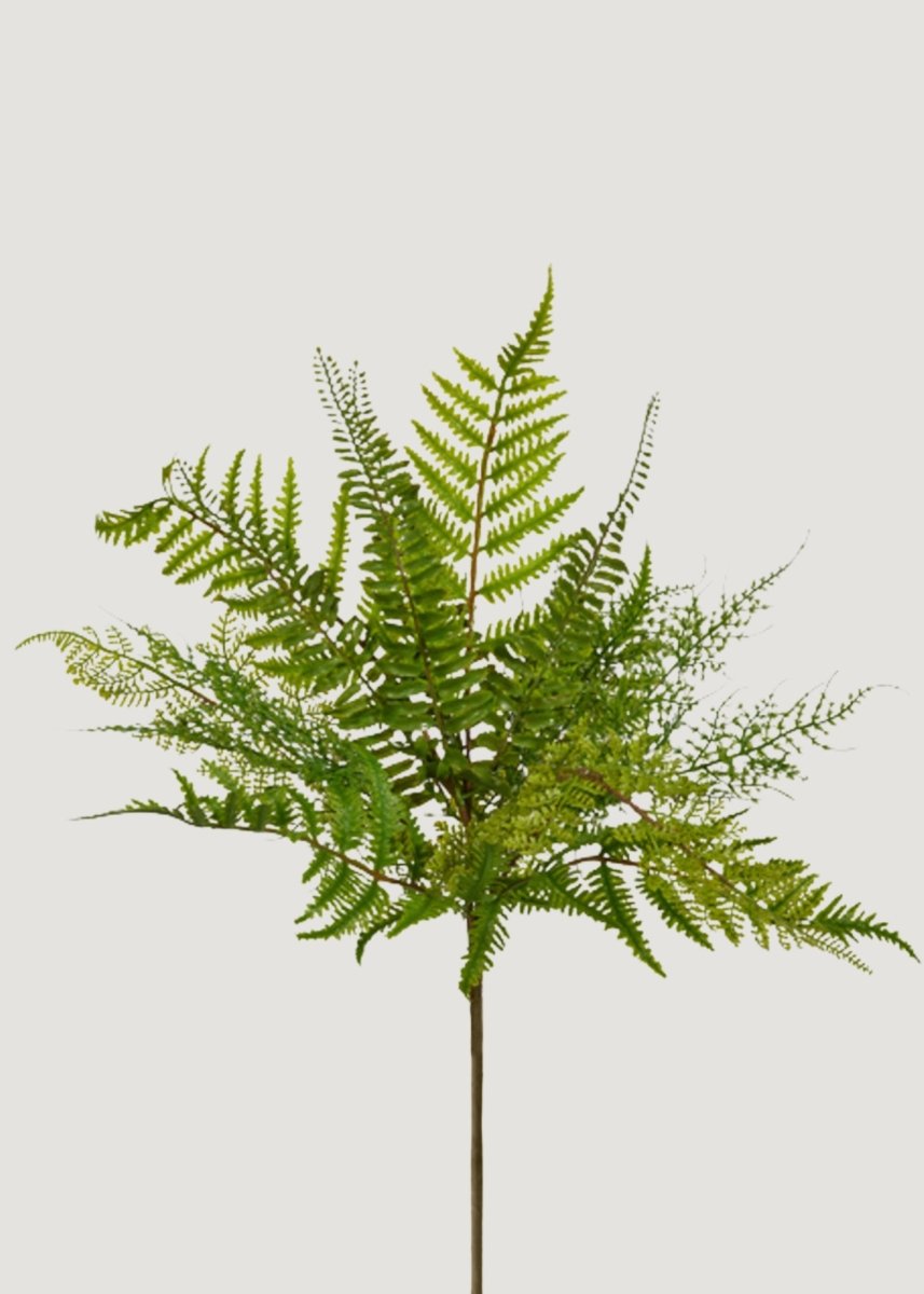 Afloral Fake Fern Leaf Plant - 18.5" - lily & onyx