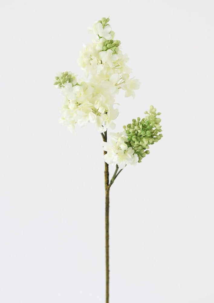 
                      
                        Afloral Fake Flowers Lilacs in Cream, 25" - lily & onyx
                      
                    