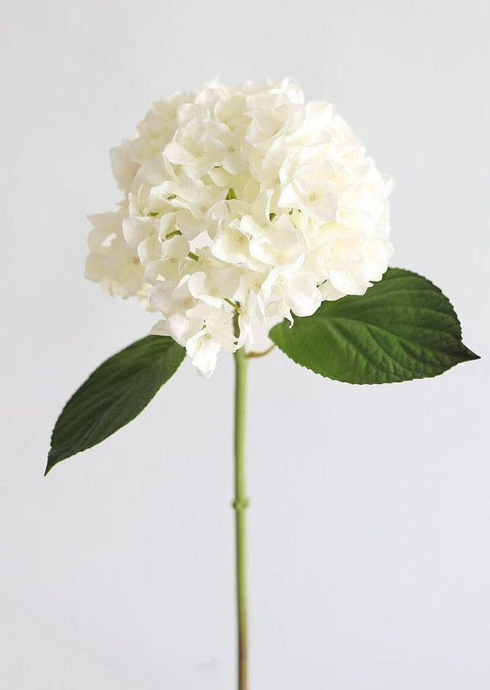 Afloral Fake Flowers Real Touch Hydrangea Stem in Talc White, 18" - lily & onyx