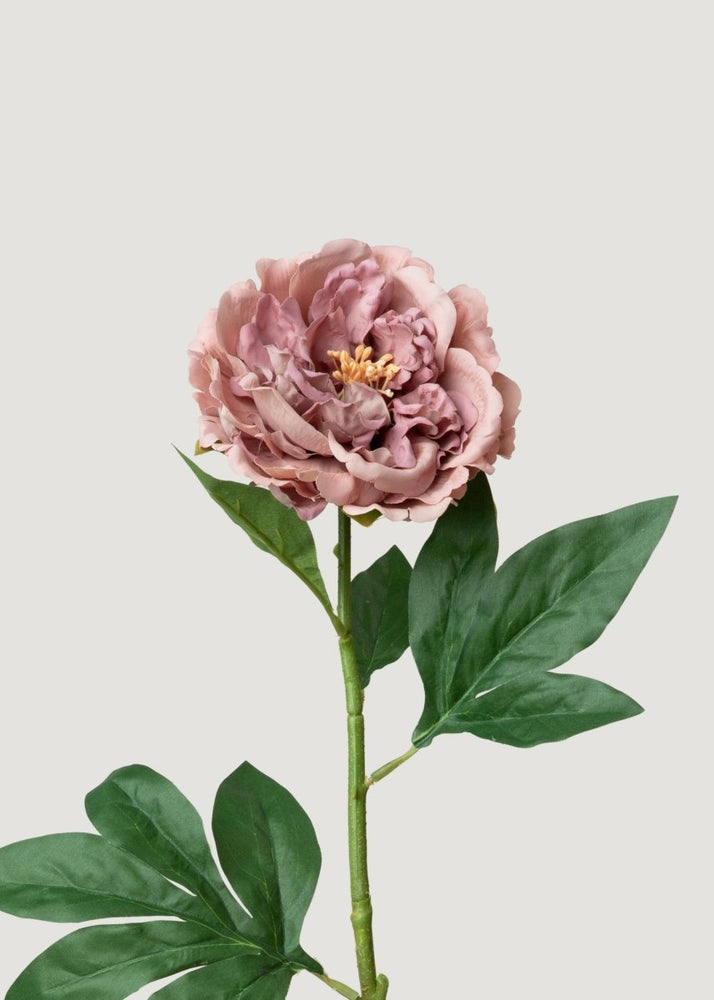 
                      
                        Afloral Fake Peony Real Touch Flower in Mauve Pink - 24.5" - lily & onyx
                      
                    