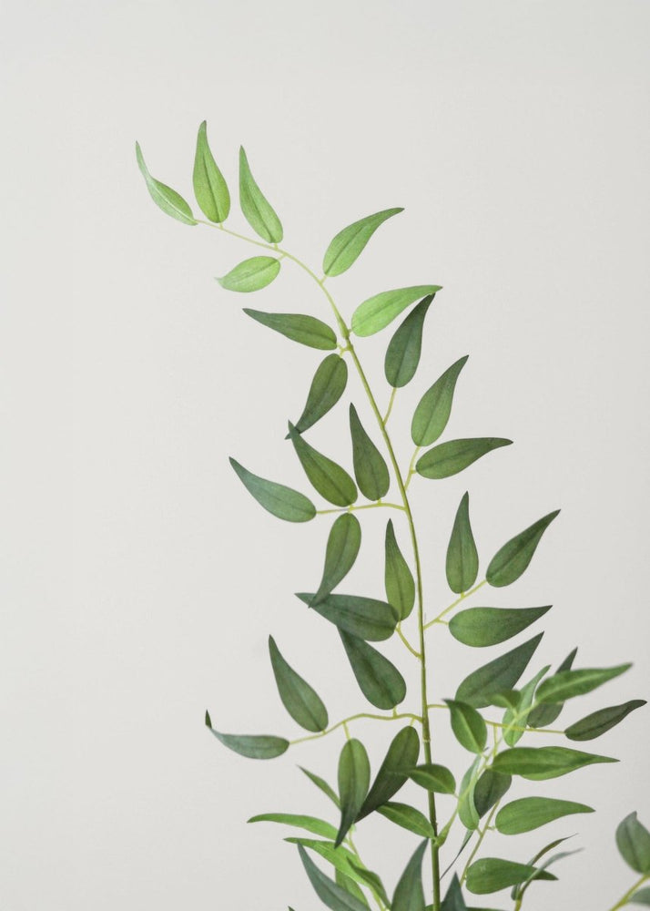 
                      
                        Afloral Fake Plants Italian Ruscus Branch, 49" - lily & onyx
                      
                    