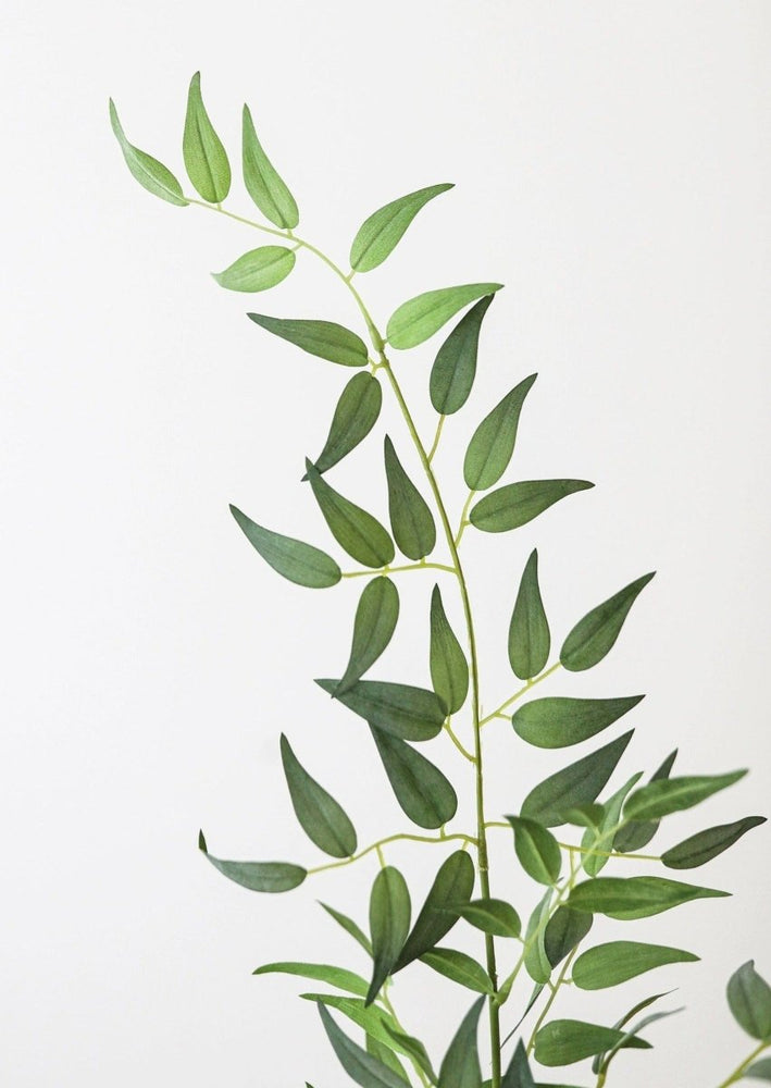 
                      
                        Afloral Fake Plants Italian Ruscus Branch, 49" - lily & onyx
                      
                    