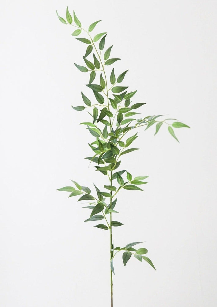 
                      
                        Afloral Fake Plants Italian Ruscus Branch, 49" - lily & onyx
                      
                    