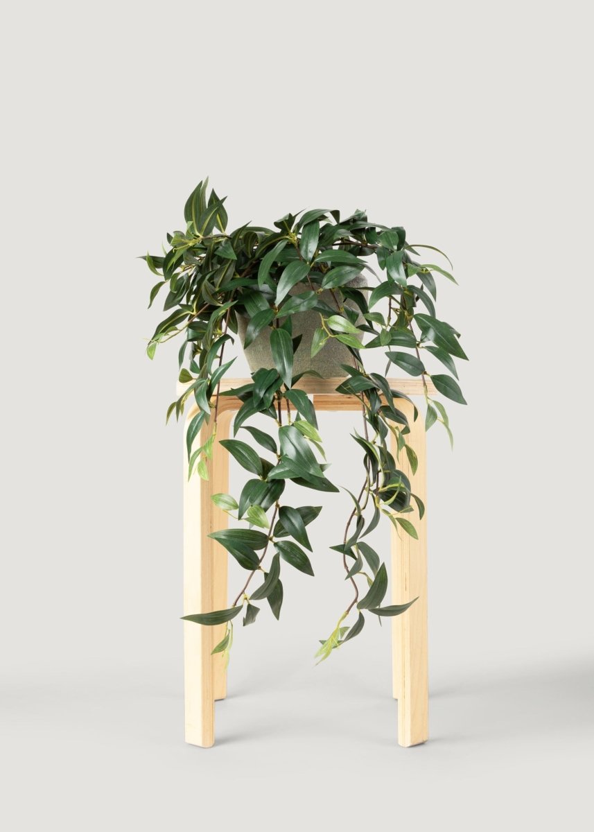 Afloral Fake Ruscus Leaf Hanging Plant - 31" - lily & onyx