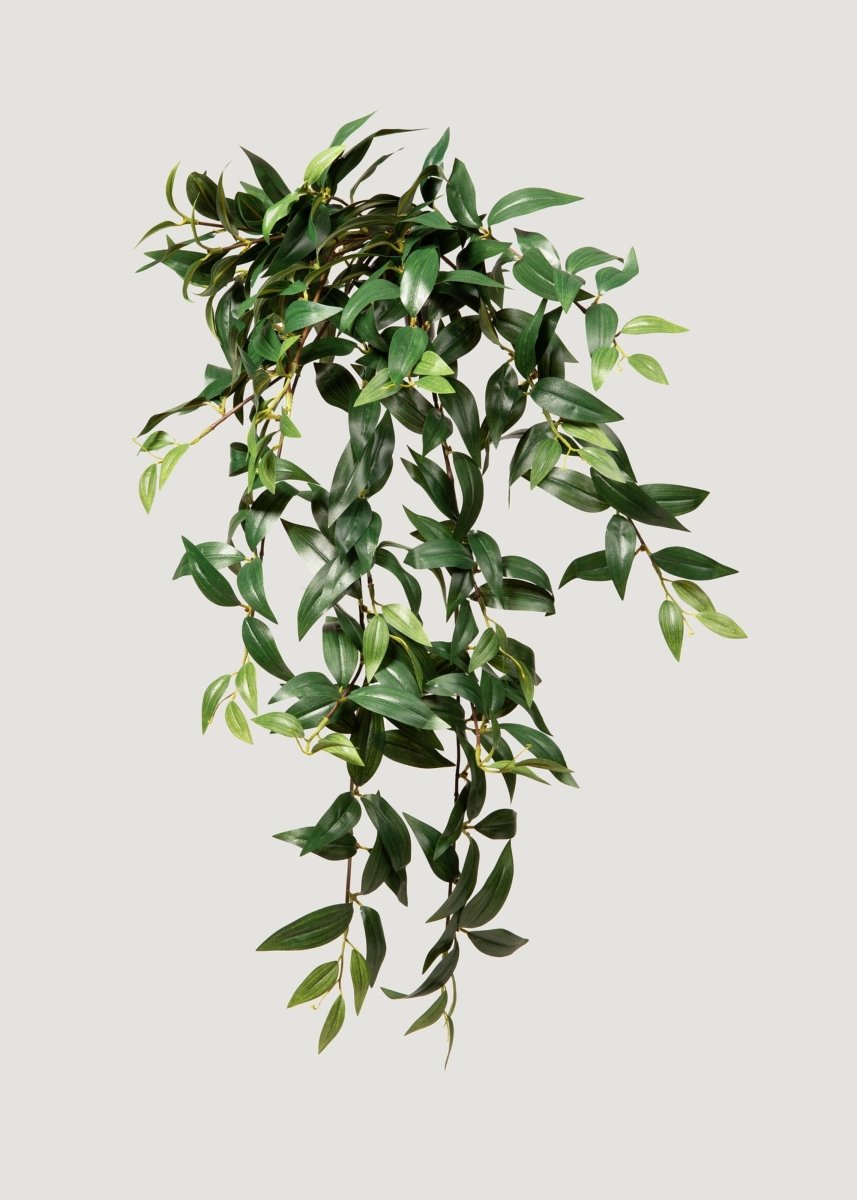 Afloral Fake Ruscus Leaf Hanging Plant - 31" - lily & onyx