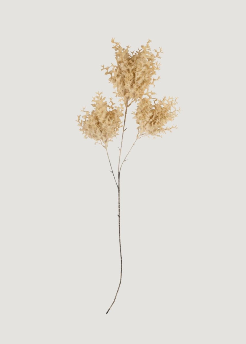 Afloral Fake Wild Fog Grass Flocked Branch in Beige - 38.5" - lily & onyx