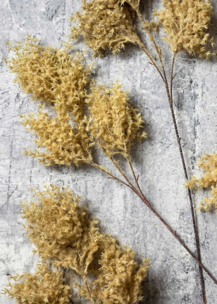 Afloral Fake Wild Fog Grass Flocked Branch in Beige - 38.5" - lily & onyx