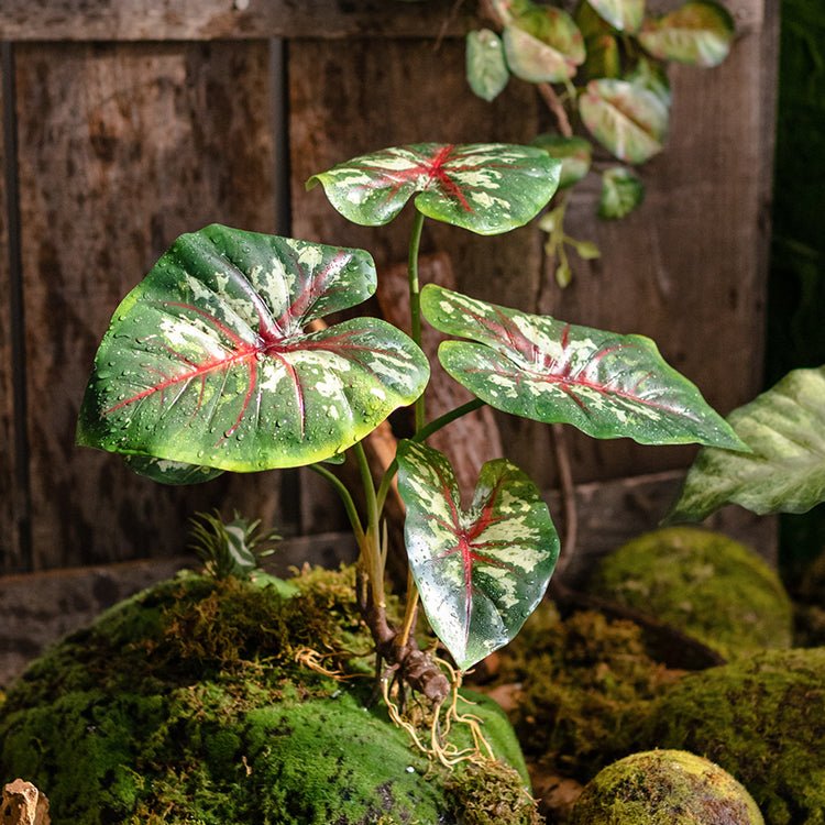 RusticReach Faux Artificial Rooted Alocasia Bunch 19" Tall - lily & onyx