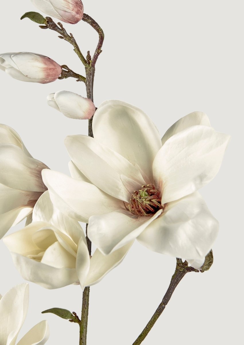 Afloral Faux Blooming Magnolia Branch - 35" - lily & onyx