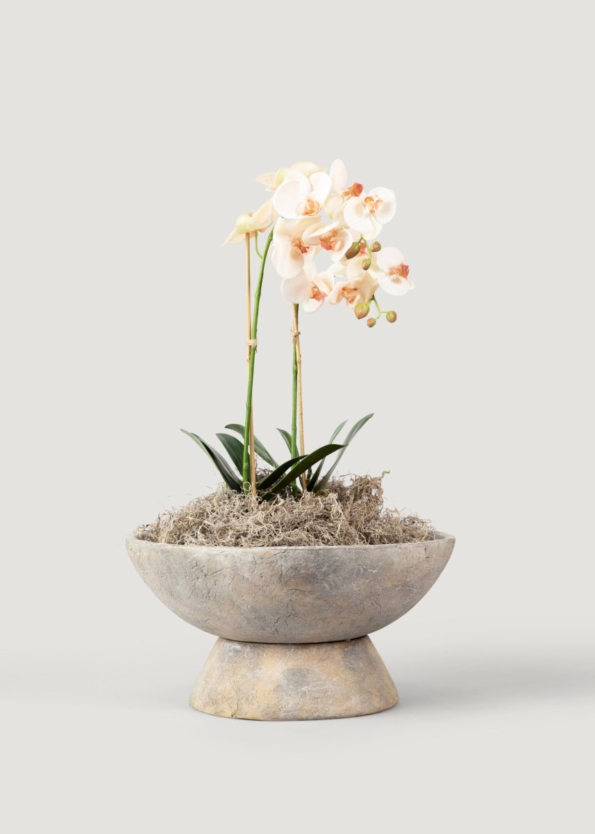 Afloral Faux Blush Phalaenopsis Orchid Drop - In Plant - 23" - lily & onyx