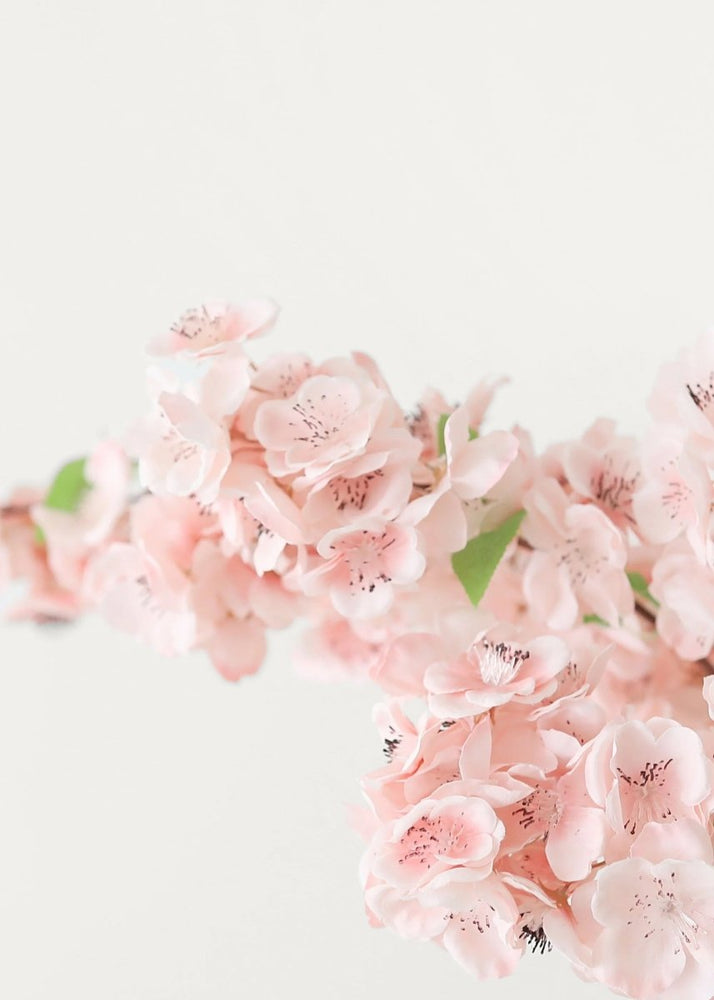 
                      
                        Afloral Faux Cherry Blossom in Pink, 44" - lily & onyx
                      
                    