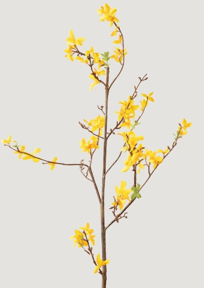 Afloral Faux Forsythia Branch in Yellow Gold, 52" - lily & onyx