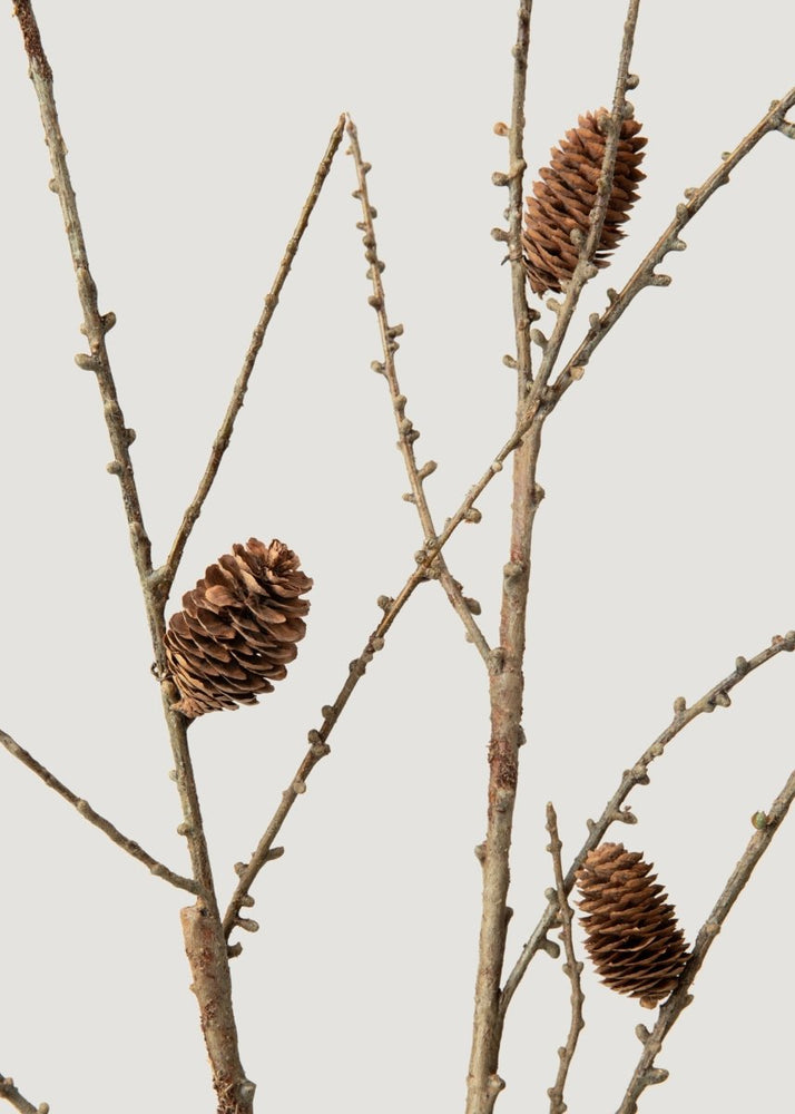 Afloral Faux Larch Branch with Pine Cones - 46" - lily & onyx