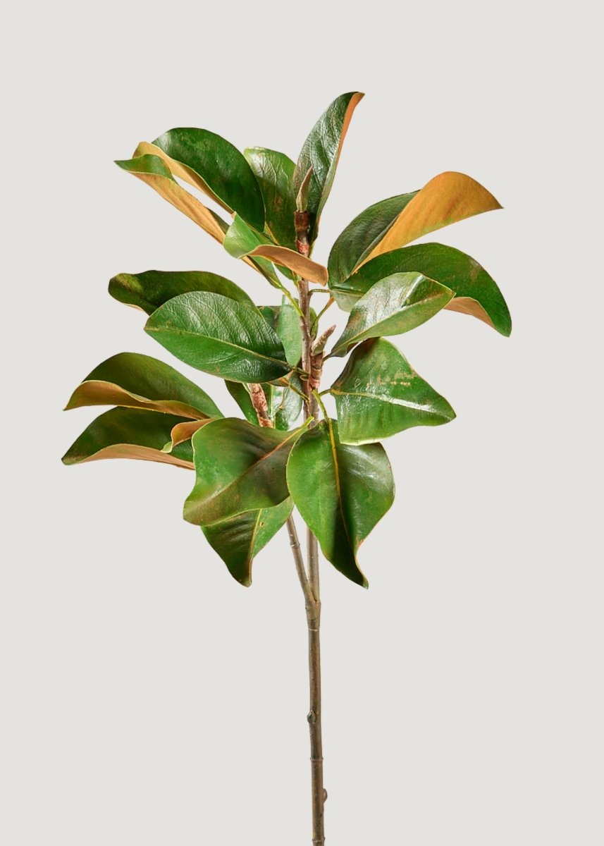 Afloral Faux Magnolia Leaf Branch, 41" - lily & onyx