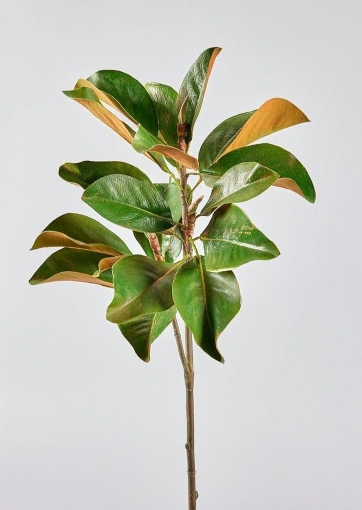 
                      
                        Afloral Faux Magnolia Leaf Branch, 41" - lily & onyx
                      
                    