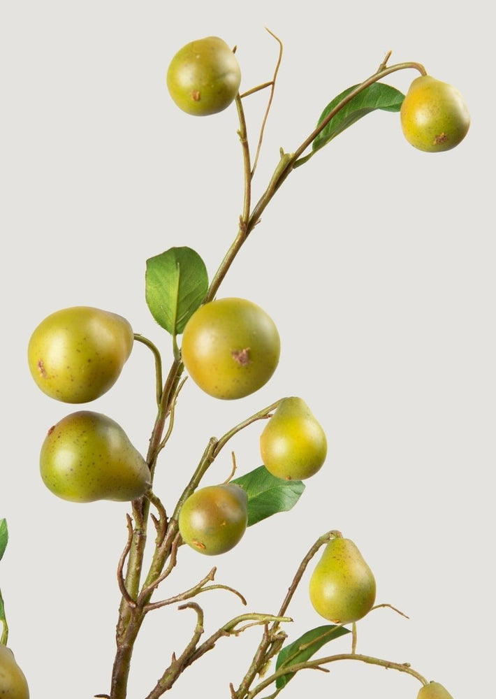 
                      
                        Afloral Faux Pear Fruit Branch - 39" - lily & onyx
                      
                    