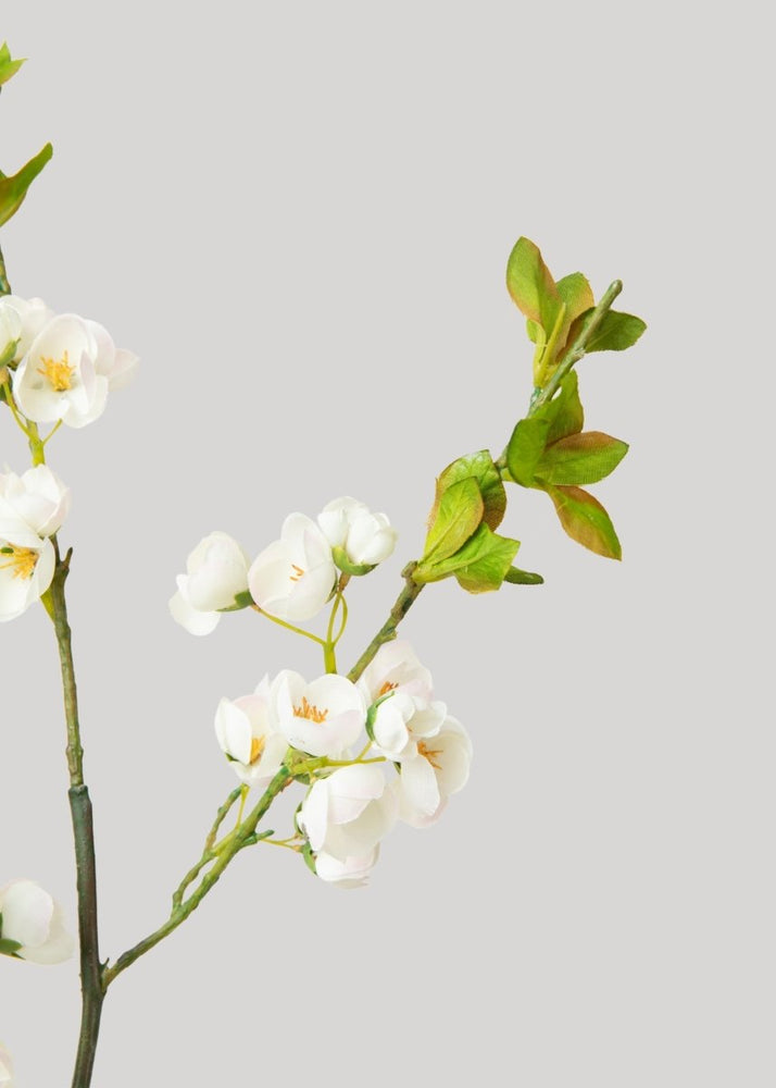 
                      
                        Afloral Faux Plum Blossom Flower Branch in White - 24" - lily & onyx
                      
                    