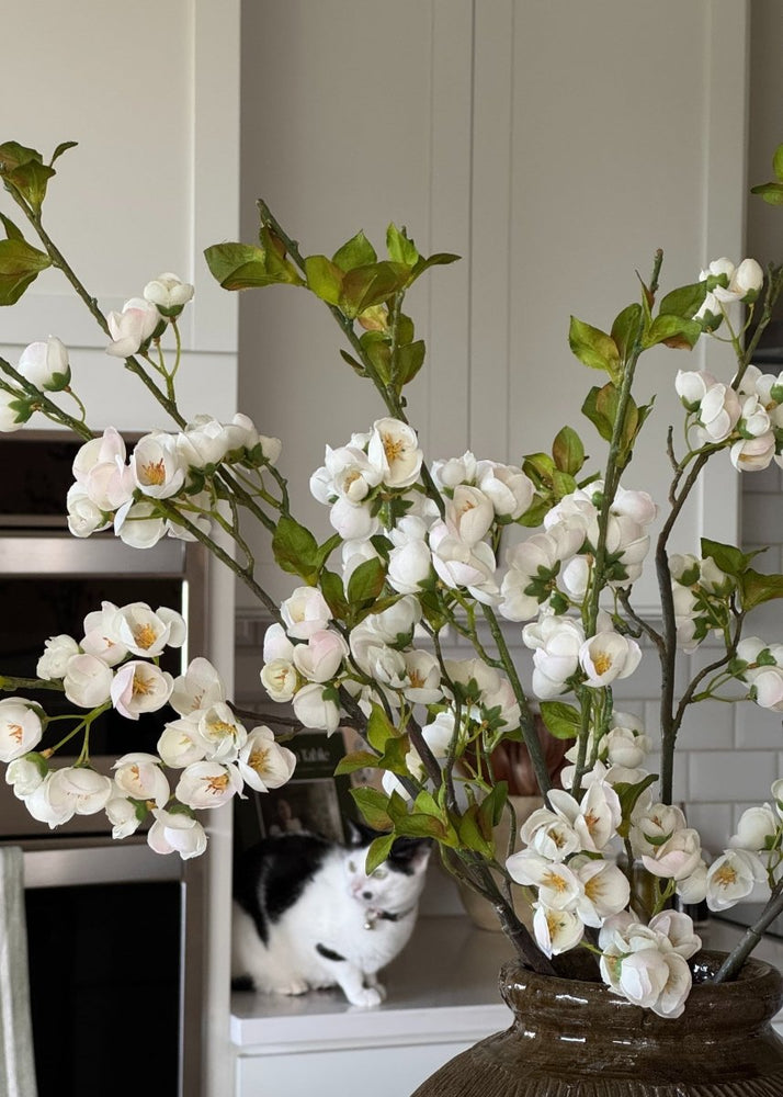 
                      
                        Afloral Faux Plum Blossom Flower Branch in White - 24" - lily & onyx
                      
                    