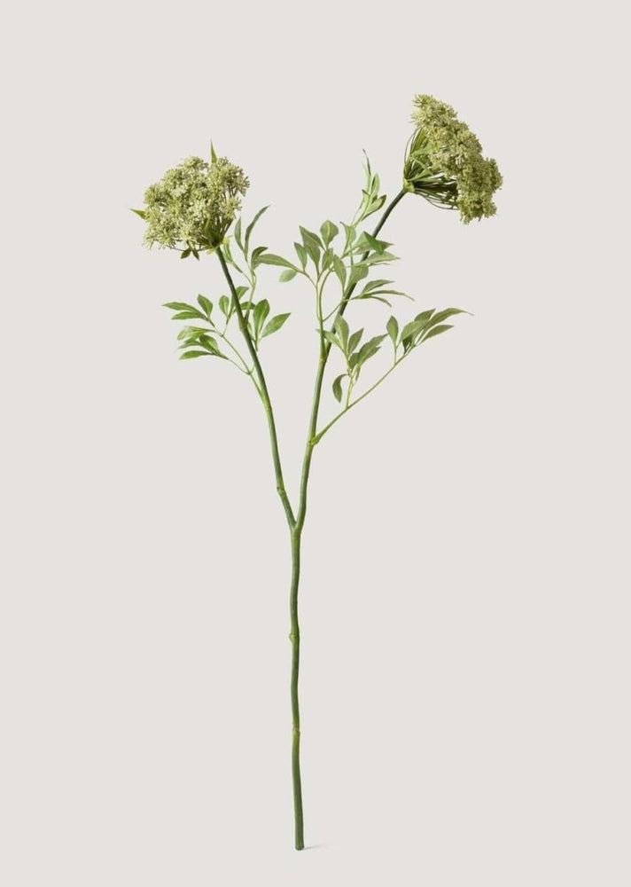 
                      
                        Afloral Faux Queen Anne's Lace Wildflowers - 36" - lily & onyx
                      
                    