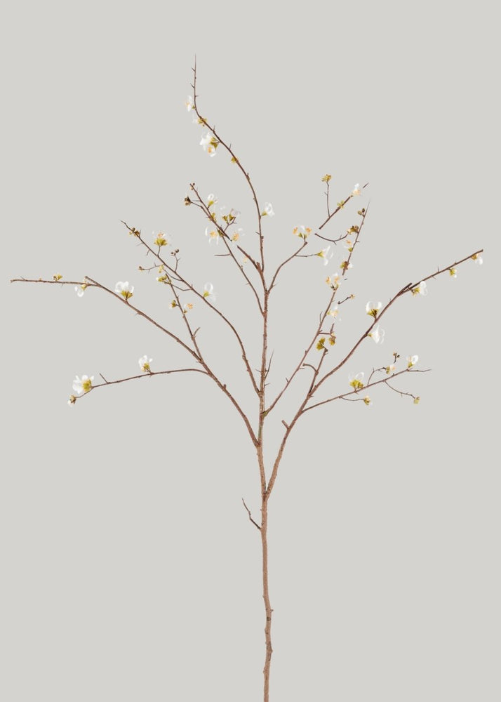 
                      
                        Afloral Faux Quince Blossom Branch in Cream, 54" - lily & onyx
                      
                    