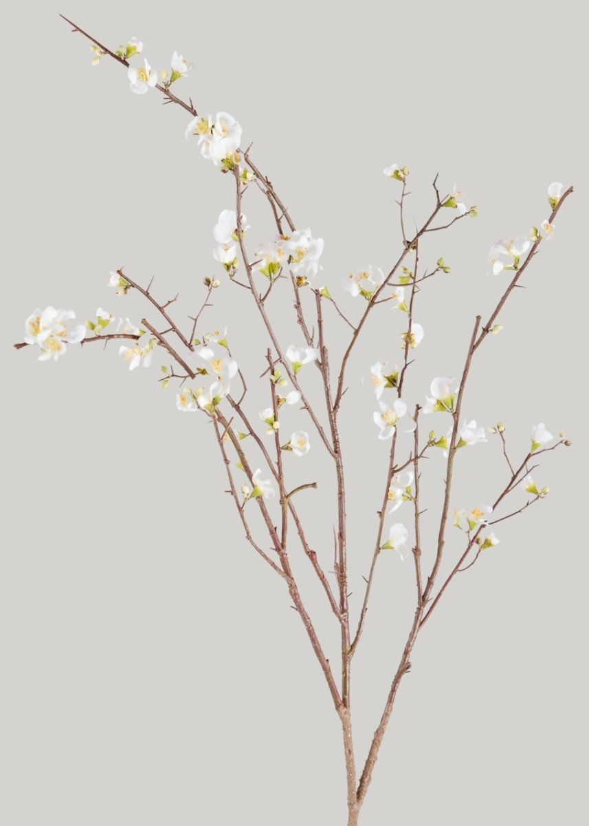 Afloral Faux Quince Blossom Branch in Cream, 54