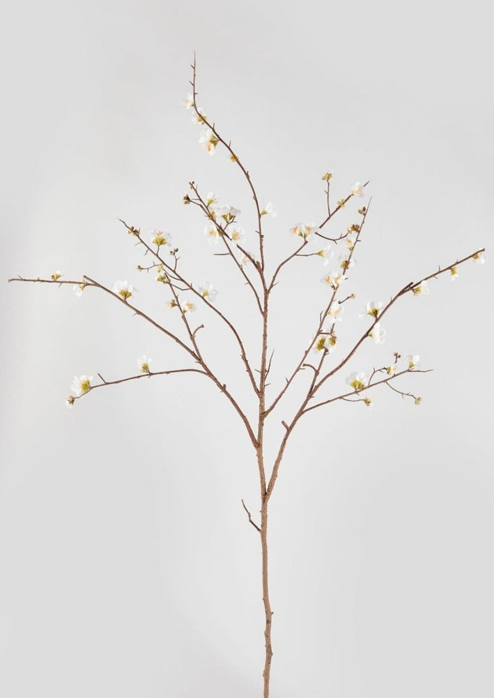 
                      
                        Afloral Faux Quince Blossom Branch in Cream, 54" - lily & onyx
                      
                    