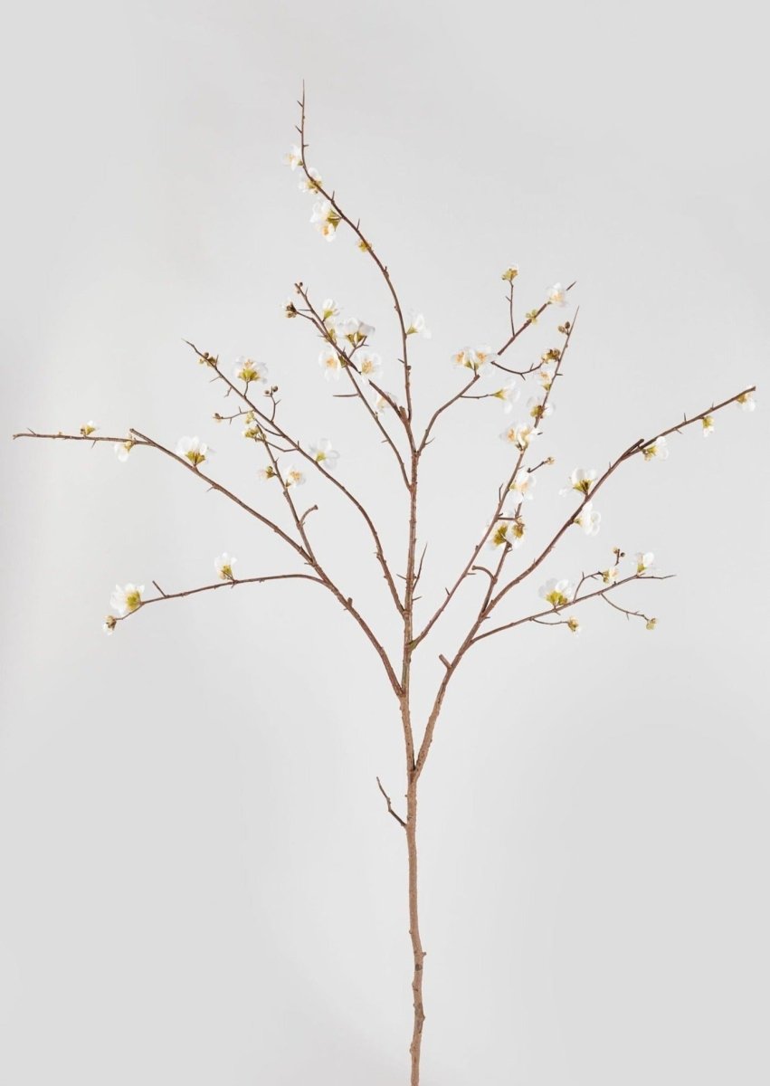 Afloral Faux Quince Blossom Branch in Cream, 54" - lily & onyx