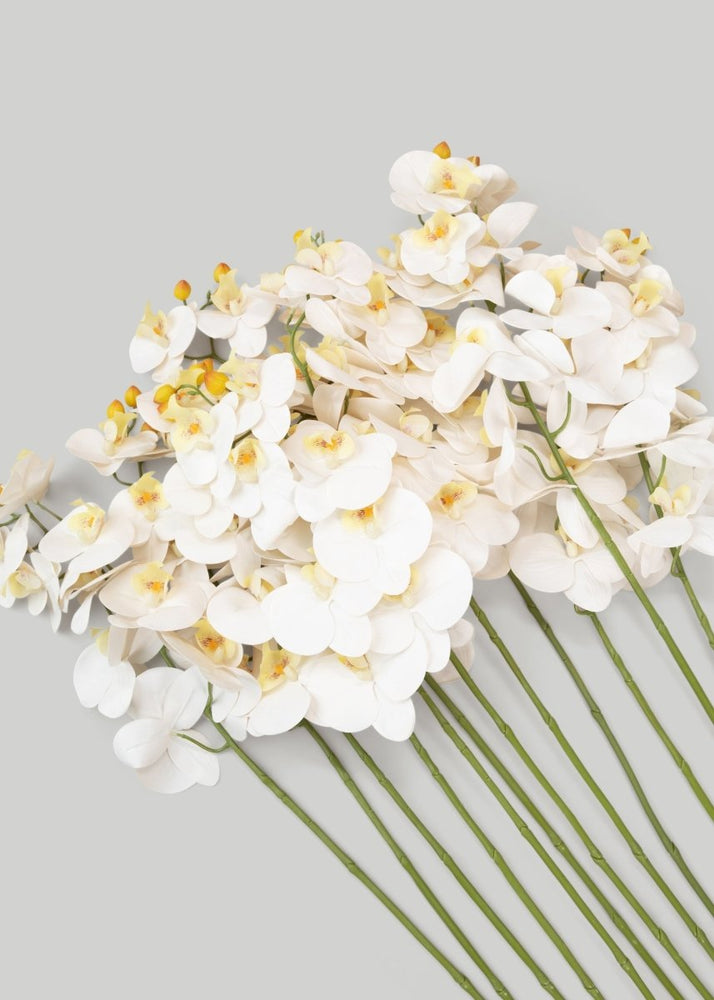 
                      
                        Afloral Faux Real Touch Orchid Stems in White - 36", Case of 48 - lily & onyx
                      
                    