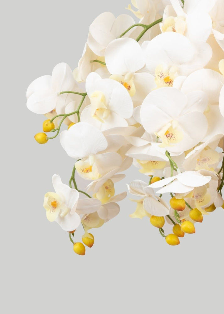 
                      
                        Afloral Faux Real Touch Orchid Stems in White - 36", Case of 48 - lily & onyx
                      
                    
