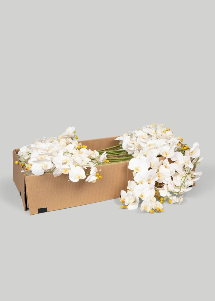Afloral Faux Real Touch Orchid Stems in White - 36", Case of 48 - lily & onyx