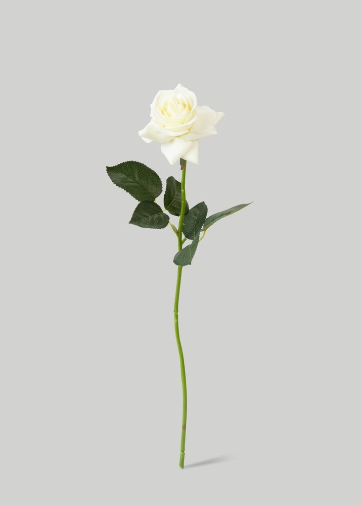 
                      
                        Afloral Faux Real Touch Rose Stems in Cream - 17", Case of 48 - lily & onyx
                      
                    