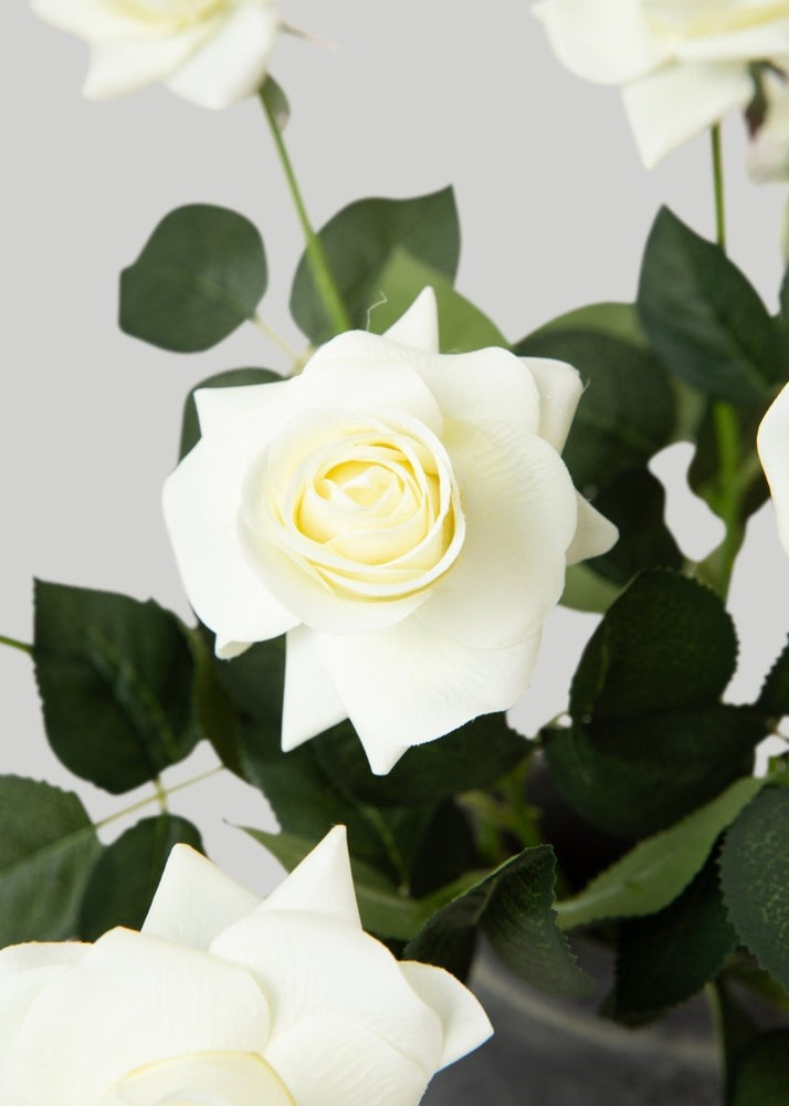 
                      
                        Afloral Faux Real Touch Rose Stems in Cream - 17", Case of 48 - lily & onyx
                      
                    