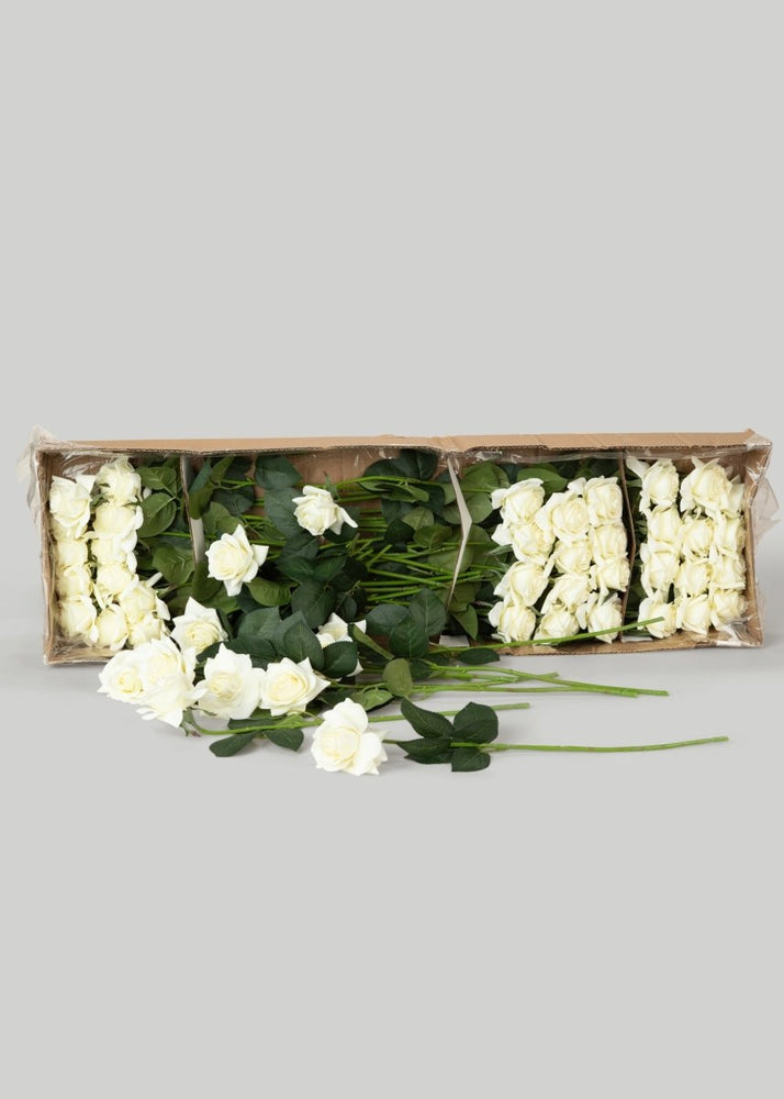 
                      
                        Afloral Faux Real Touch Rose Stems in Cream - 17", Case of 48 - lily & onyx
                      
                    