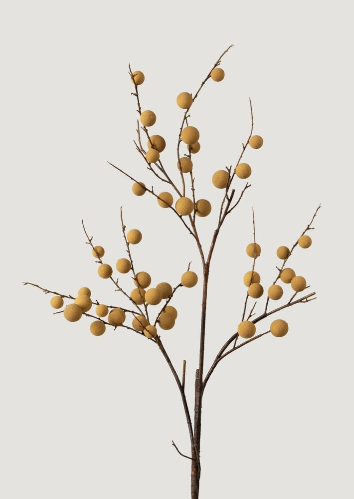 
                      
                        Afloral Faux Tropical Longan Fruit Branch - 39" - lily & onyx
                      
                    