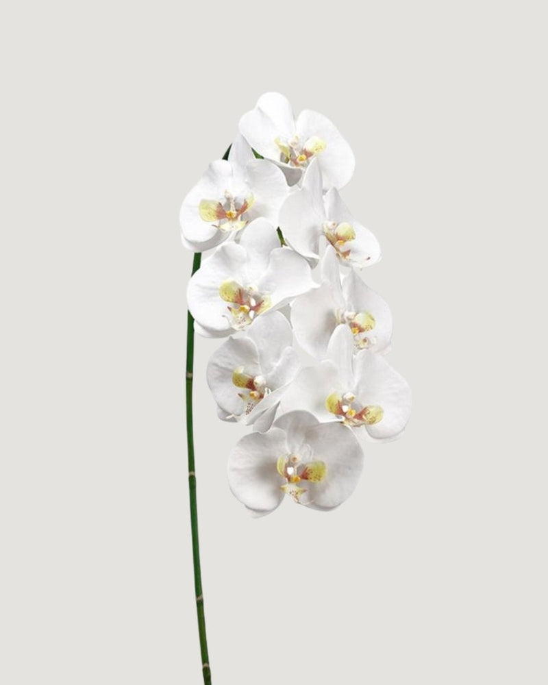 Afloral Faux White Blooming Phalaenopsis Orchids - 40" - lily & onyx