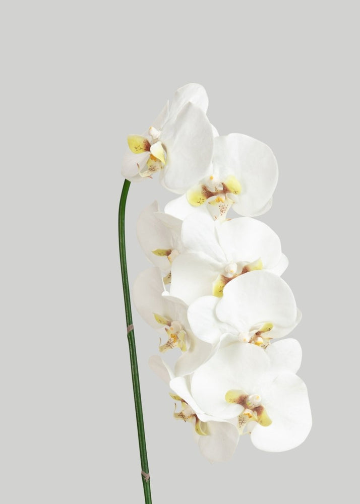 Afloral Faux White Blooming Phalaenopsis Orchids - 40" - lily & onyx