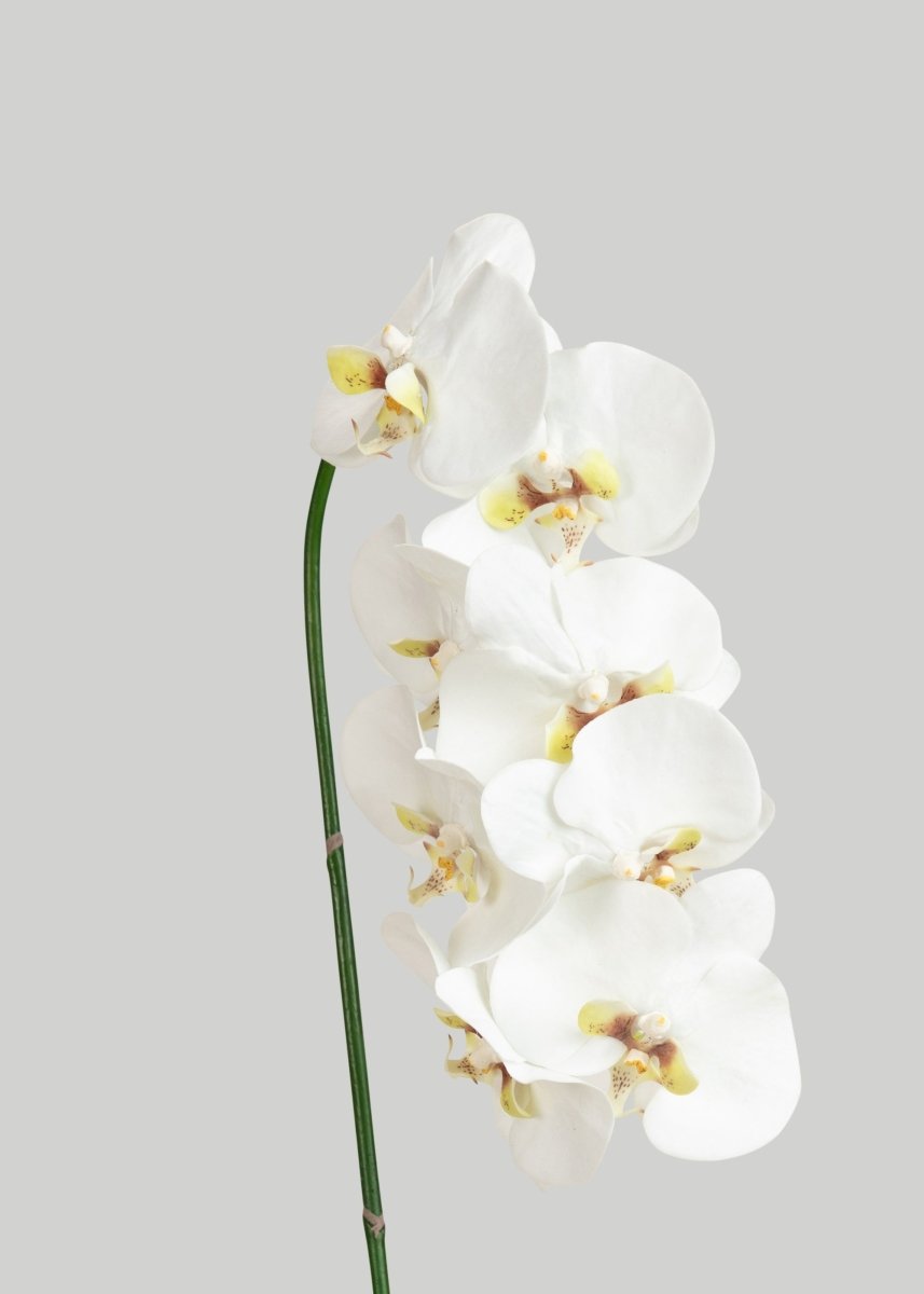 Afloral Faux White Blooming Phalaenopsis Orchids - 40" - lily & onyx
